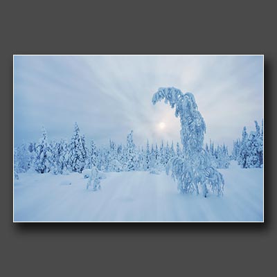 12-lapimaa lumi fotoretk fotokool fotokoolitused