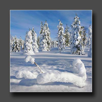 5-lapimaa lumi fotoretk fotokool fotokoolitused
