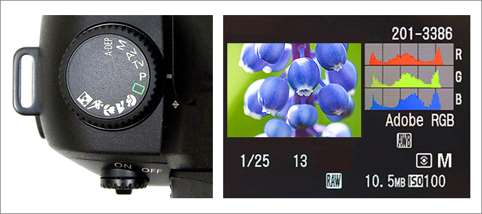 5- fotokursus fotokool fotokoolitused foto kaamera lilled botaanikaaed